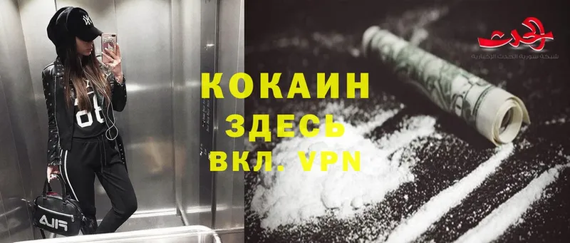 где продают наркотики  Новоалтайск  Cocaine Колумбийский 